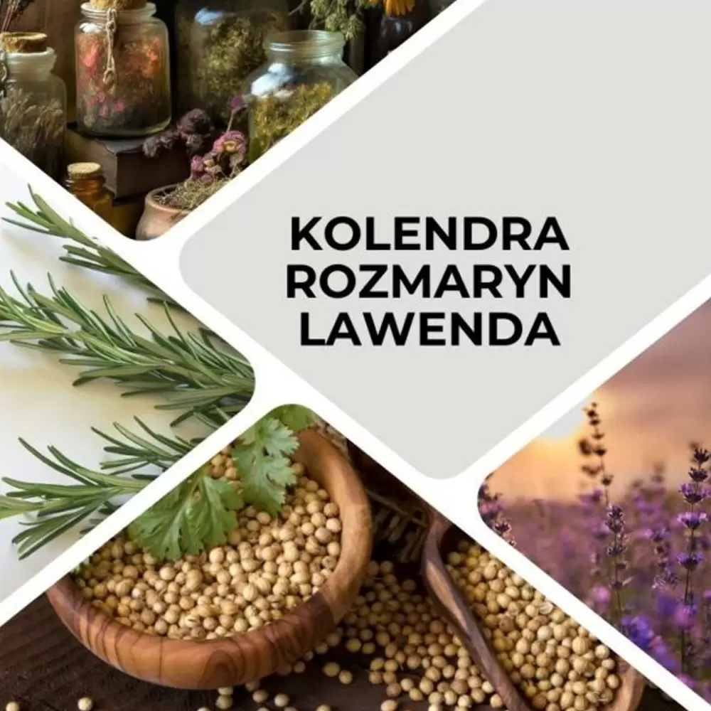 Olejek eteryczny Ziołowy Sen | Tyma Herbs
