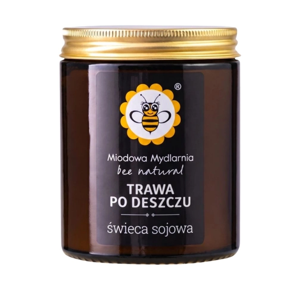Świeca sojowa Trawa Po Deszczu | Miodowa Mydlarnia