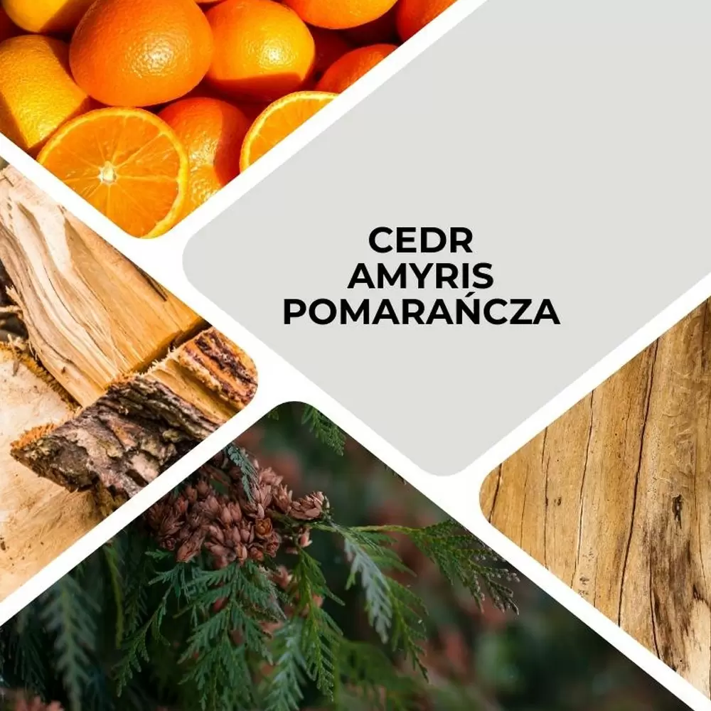 Olejek eteryczny Ziołowy Las | Tyma Herbs
