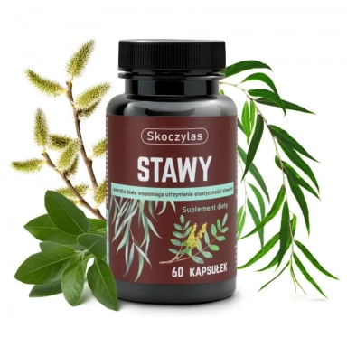 Suplement diety - STAWY kadzidłowiec, wierzba, ashwagandha, sosna | Marek Skoczylas