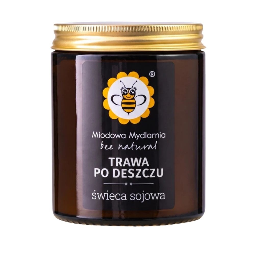 Świeca sojowa Trawa Po Deszczu | Miodowa Mydlarnia